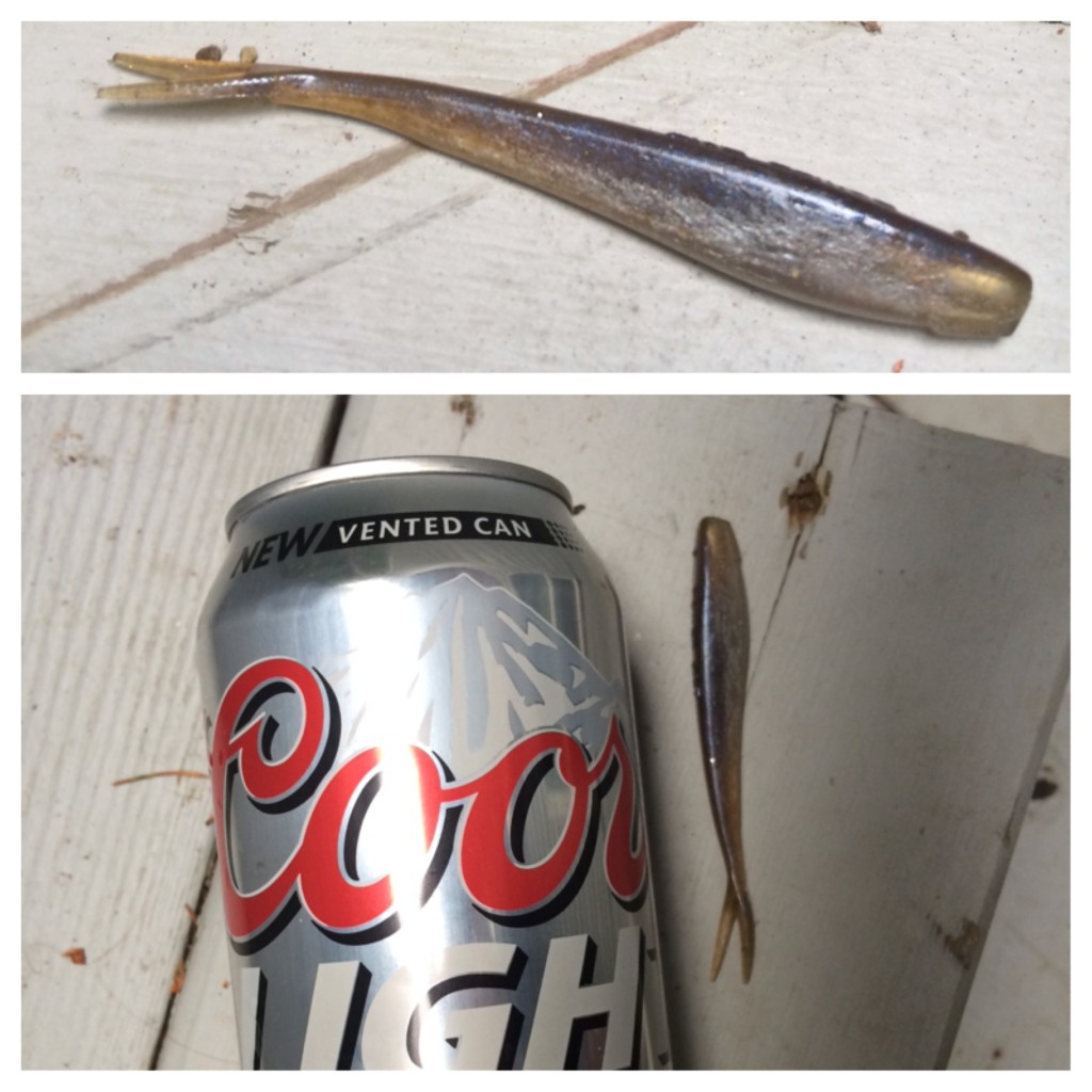 Shawnigan Lake - Swim Bait