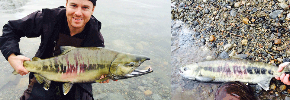 Introduction to the Stave River BC Fishing Journal