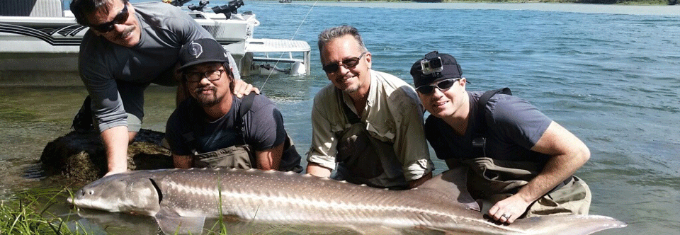 Fraser River – Sturgeon Charter