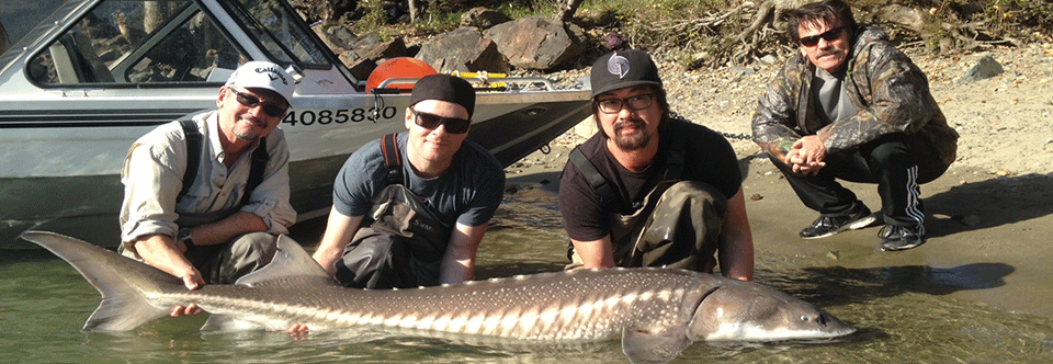 Harrison River – Salmon & Sturgeon Charter