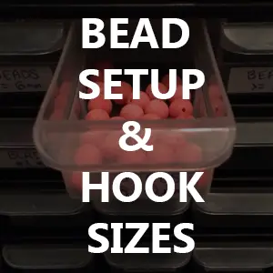 how to preserve salmon eggs