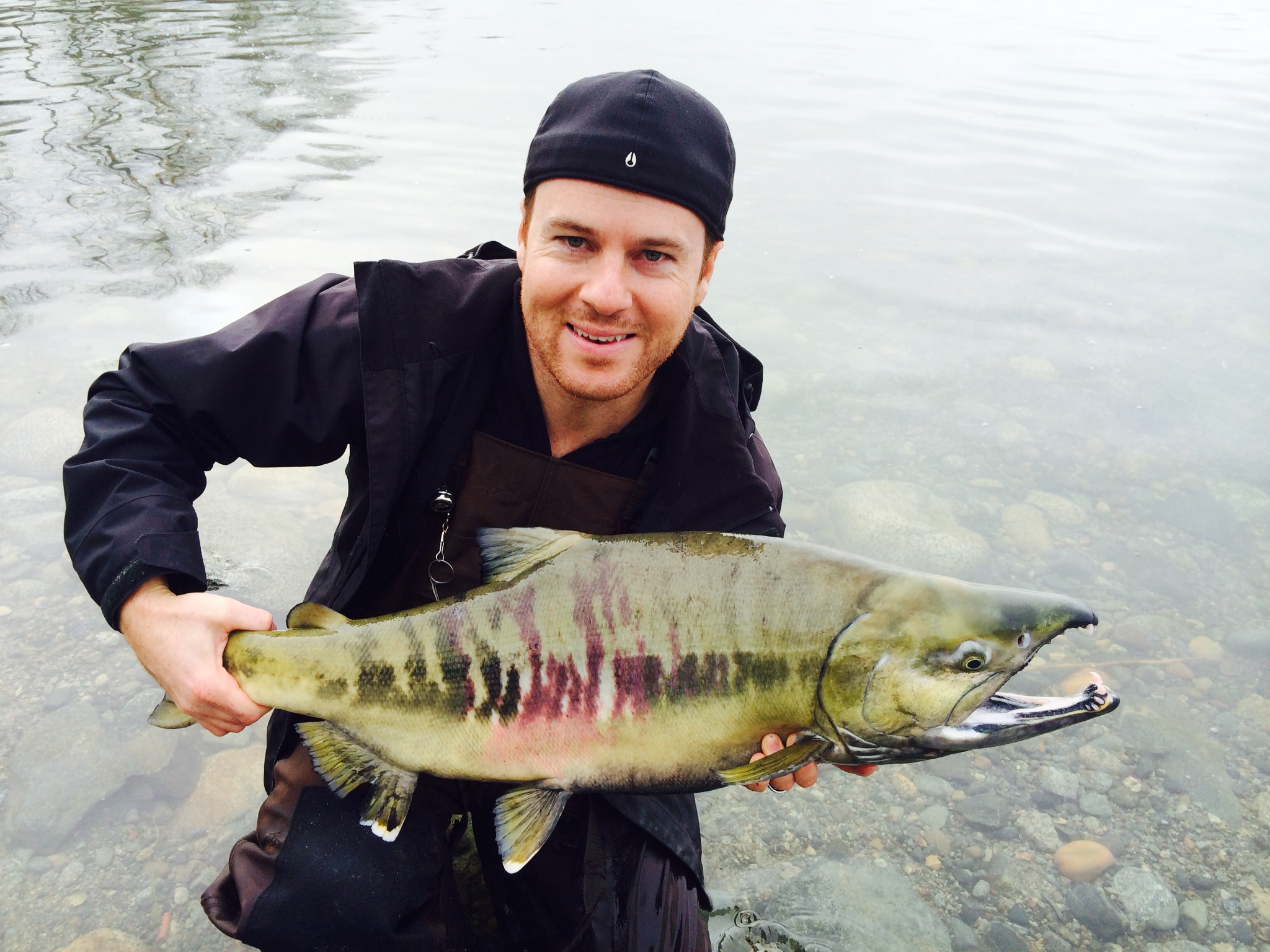 Stave River - Chum (big male)