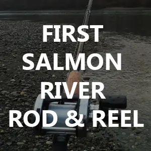 how to preserve salmon eggs