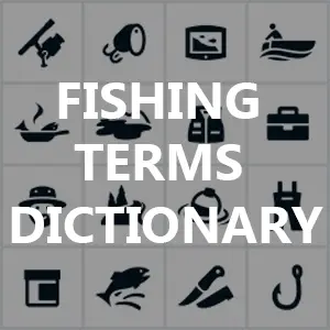 Fishing Terminology