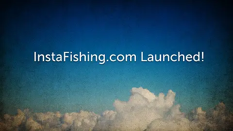 Site Launched!