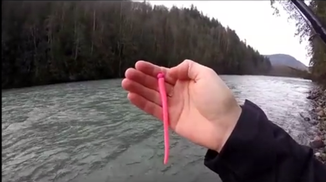 Winter Steelhead – The Pink Worm Change-Up - BC Fishing Journal