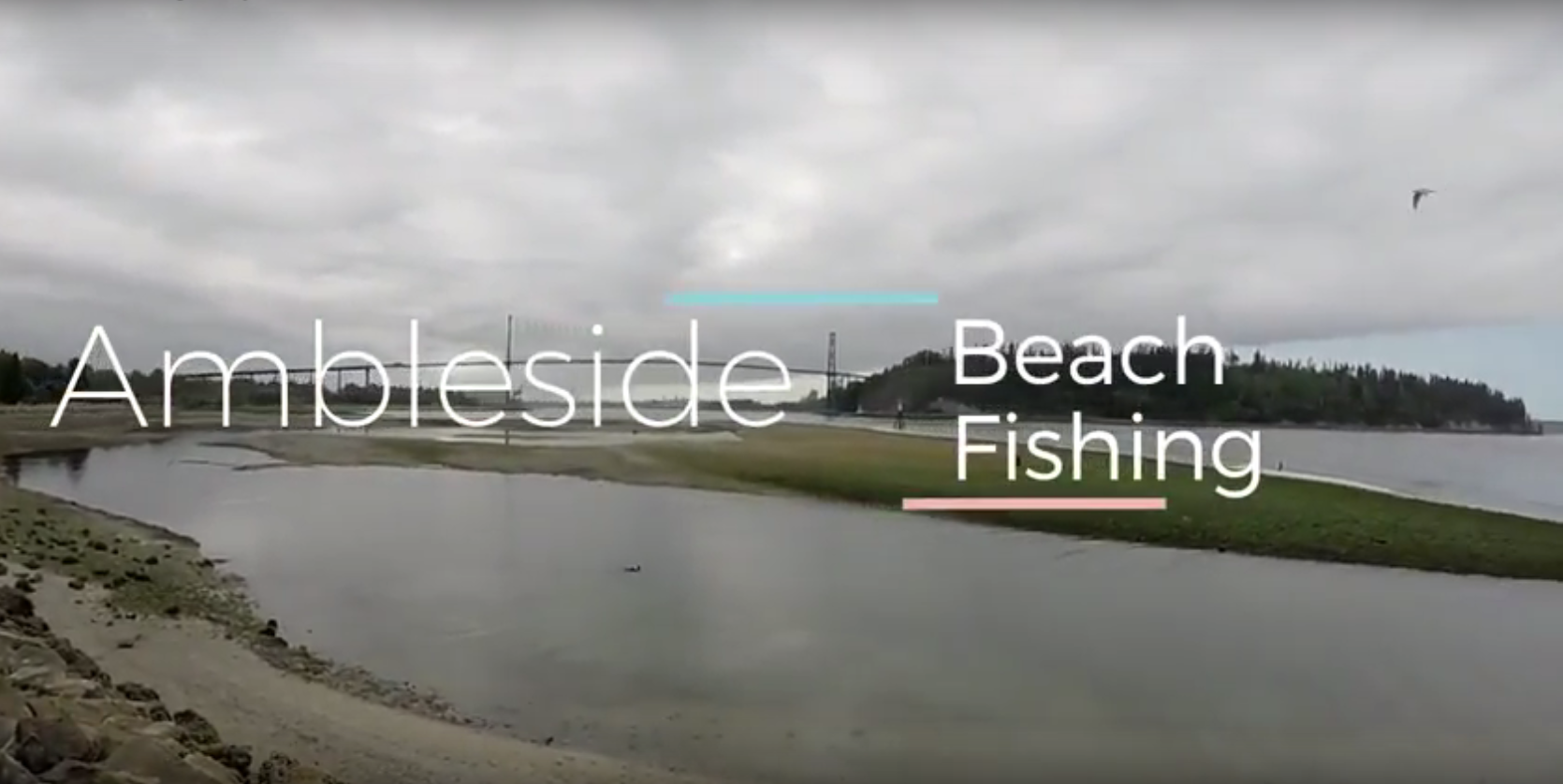 Ambleside Beach Fishing – Late July 2016