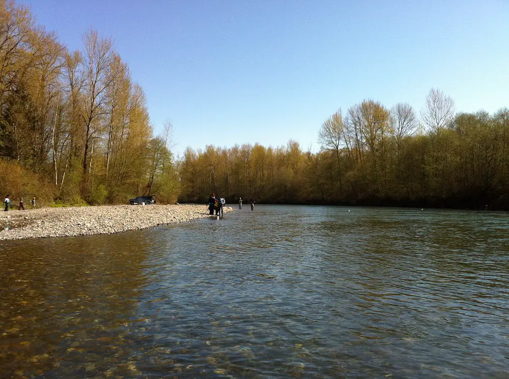 Vedder / Chilliwack River Fishing Locations BC Fishing Journal