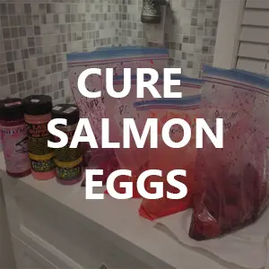 how to preserve salmon eggs