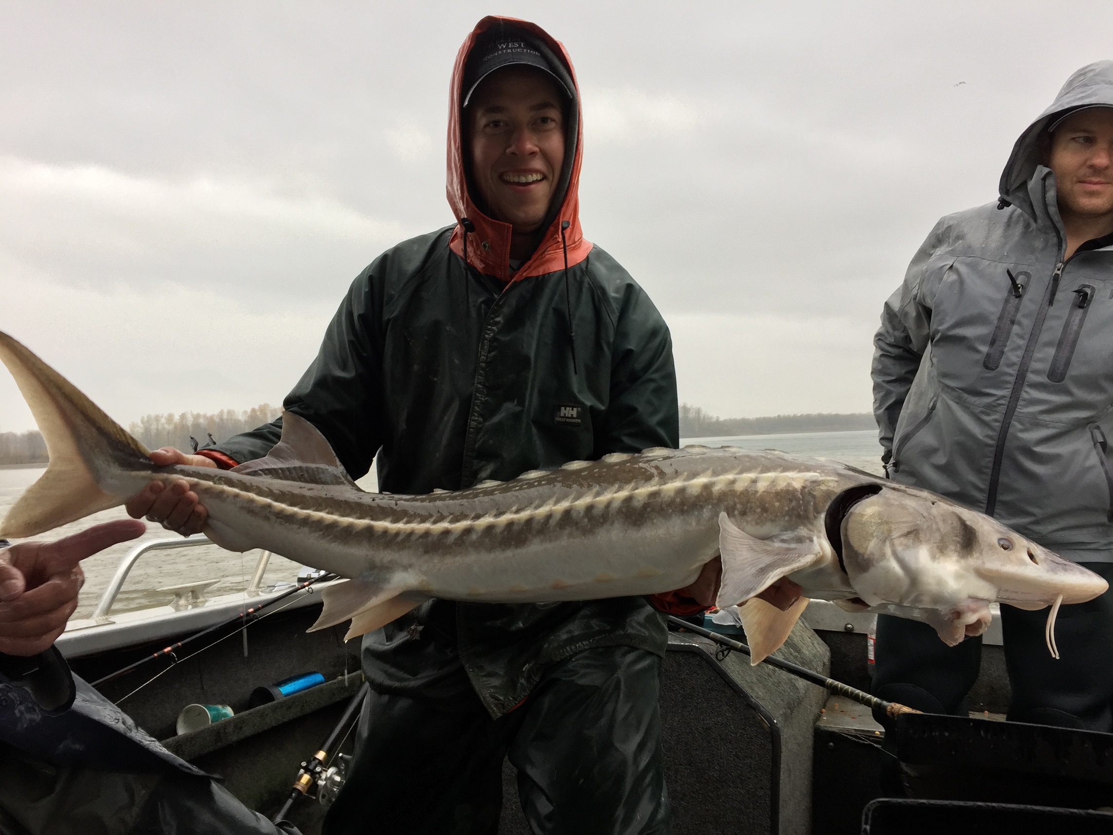 Harrison River - Sturgeon & Salmon Combo - BC Fishing Journal