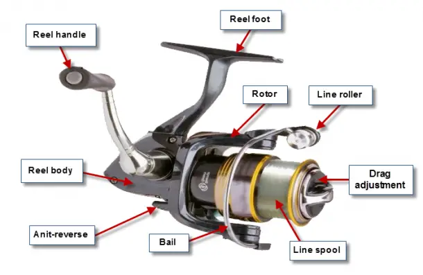 Tackle Guide: Best Spinning Reel for 2022 - BC Fishing Journal