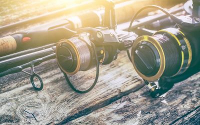 Tackle Guide: Best Spinning Reel for 2024