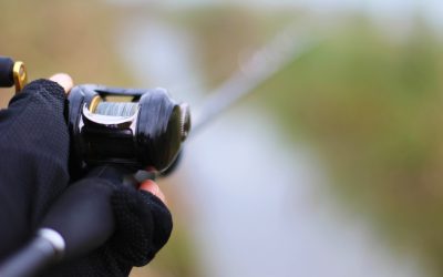 Tackle Guide: Best Baitcasting Reel for 2024