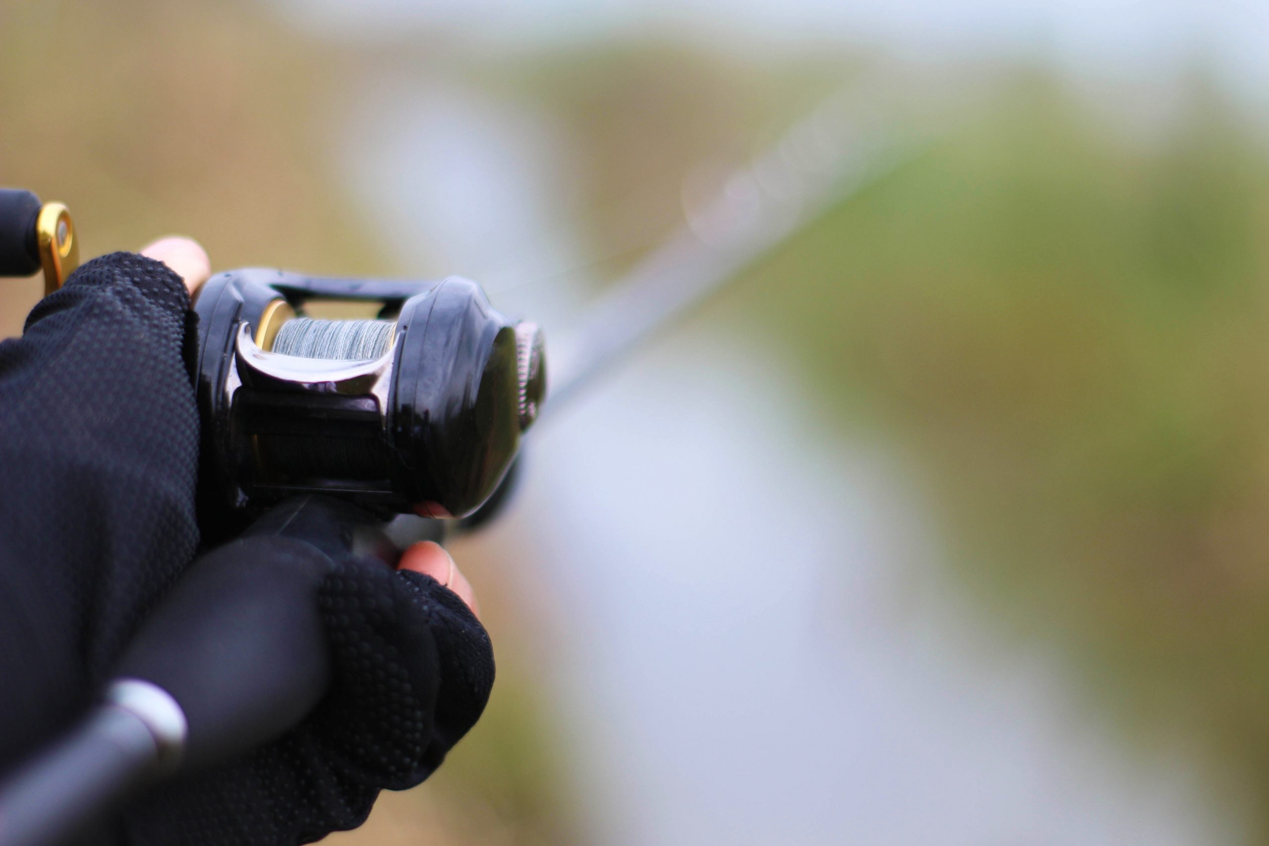 Tackle Guide: Best Baitcasting Reel for the money