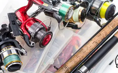What is the Best Spinning Reel under $100
