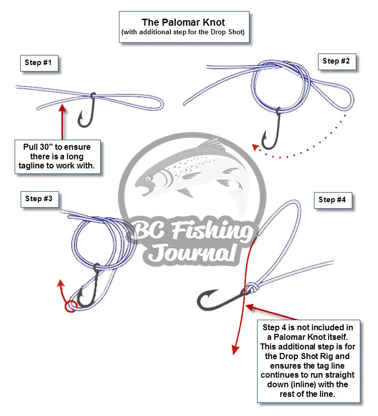 How to setup Drop Shot Rig diagram