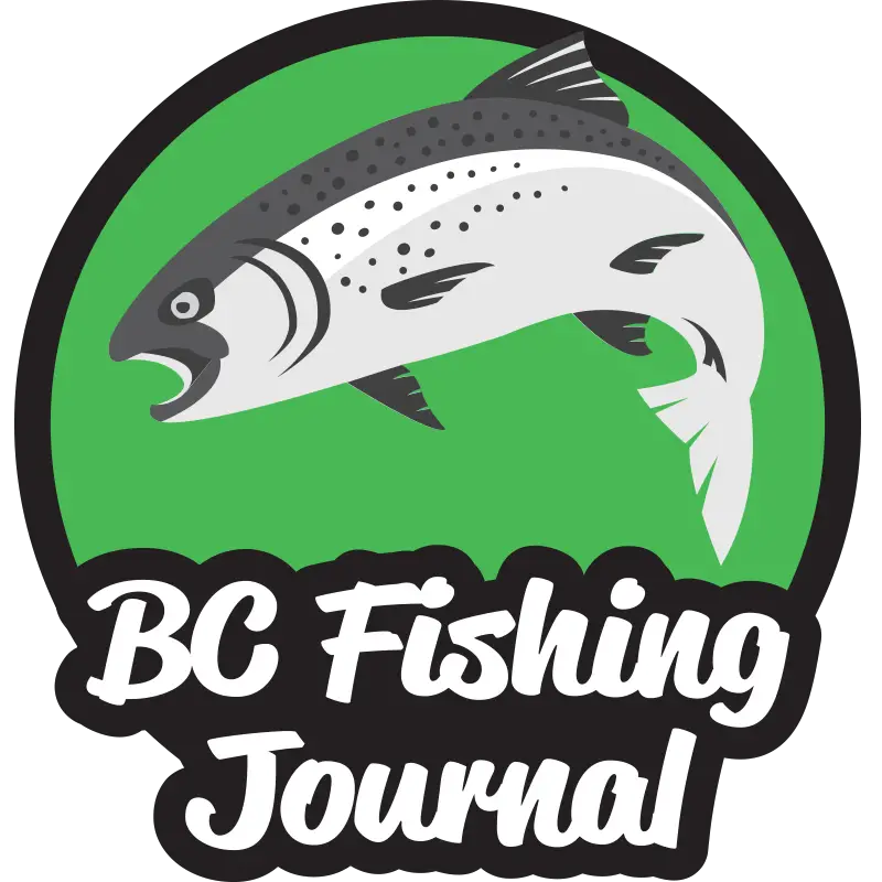 5 Best Ultralight Spinning Reels for the money - BC Fishing Journal