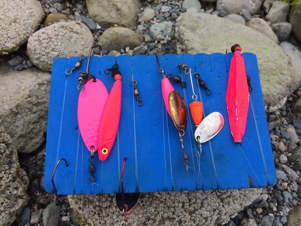 Pink Salmon Beach Fishing at Furry Creek - BC Fishing Journal
