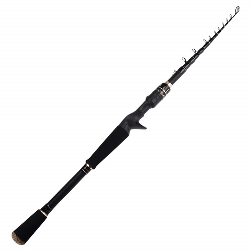 Best Telescopic Fishing Rod - BC Fishing Journal