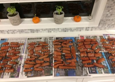 Chum Salmon drying out