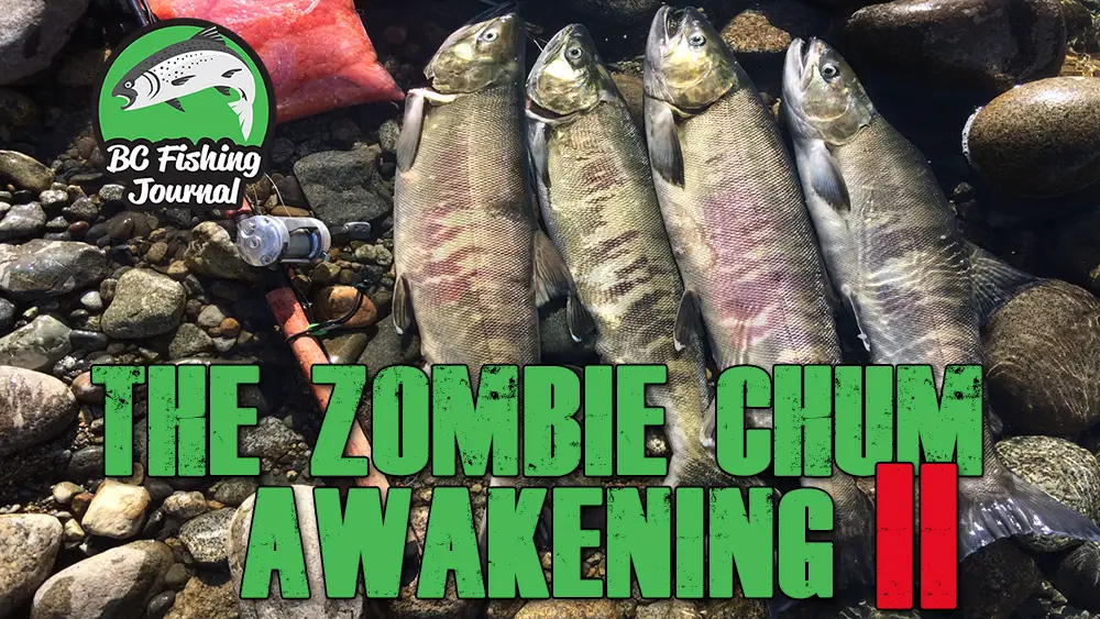 Zombie Chum Awakening 2