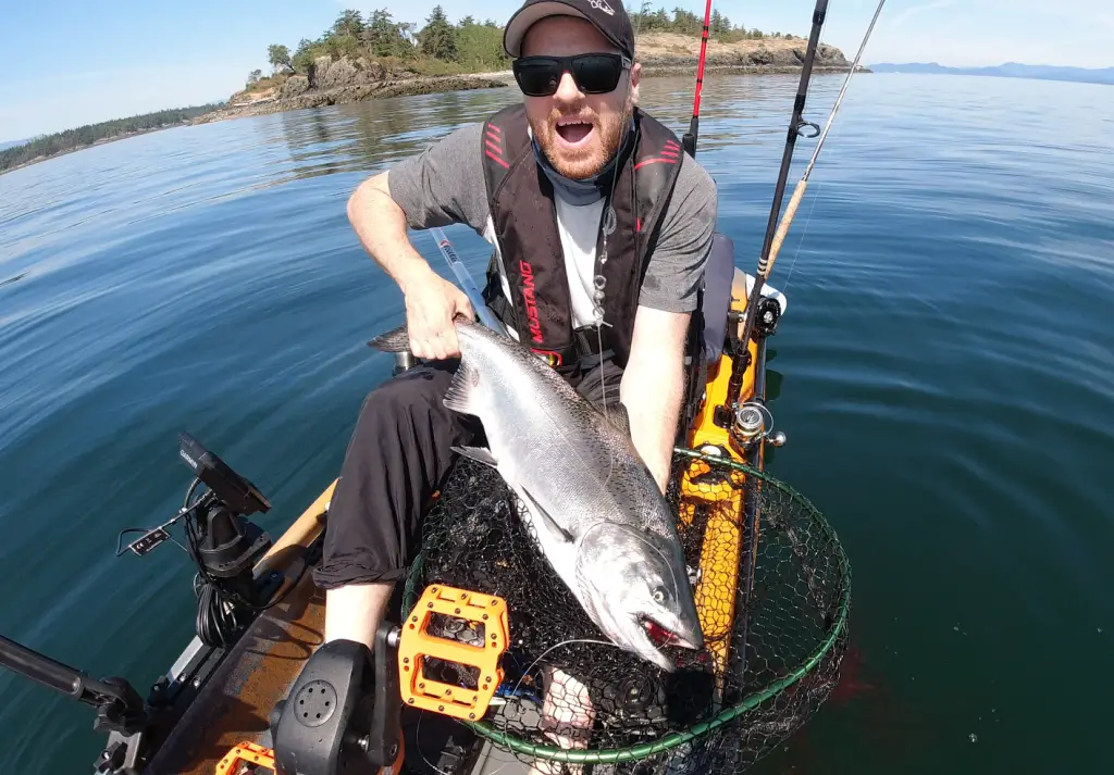 Vertical jigging chinook salmon with spinning setup