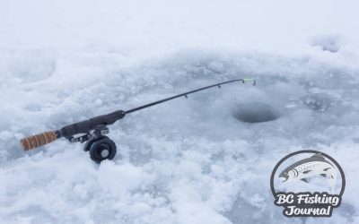 Best Ice Fishing Rods and Tip Ups