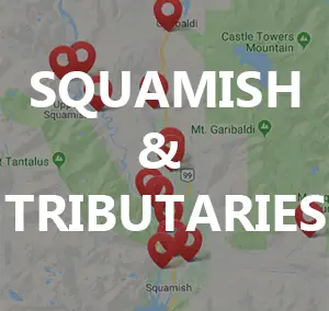 Squamish River & Tributaries