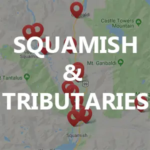 Squamish River & Tributaries