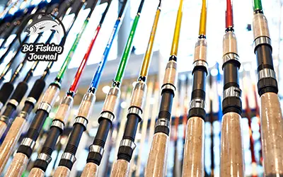 Tackle Guide: Best Spinning Rod for 2024