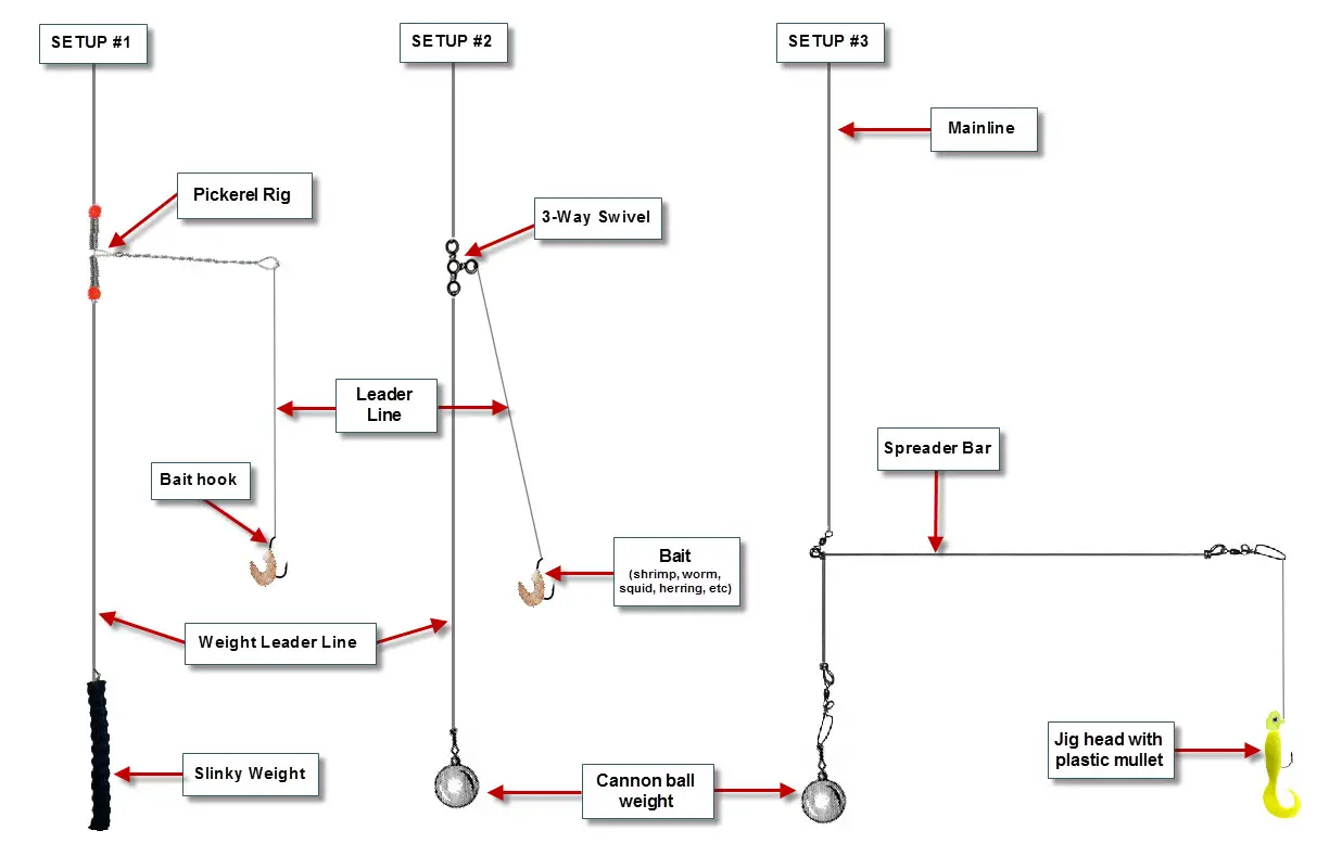 Fishing Rig Chart