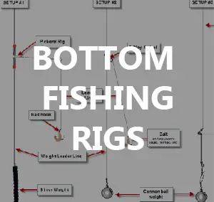 Bottom Fishing Rigs