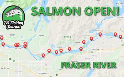 BC Salmon Openings on the Fraser River