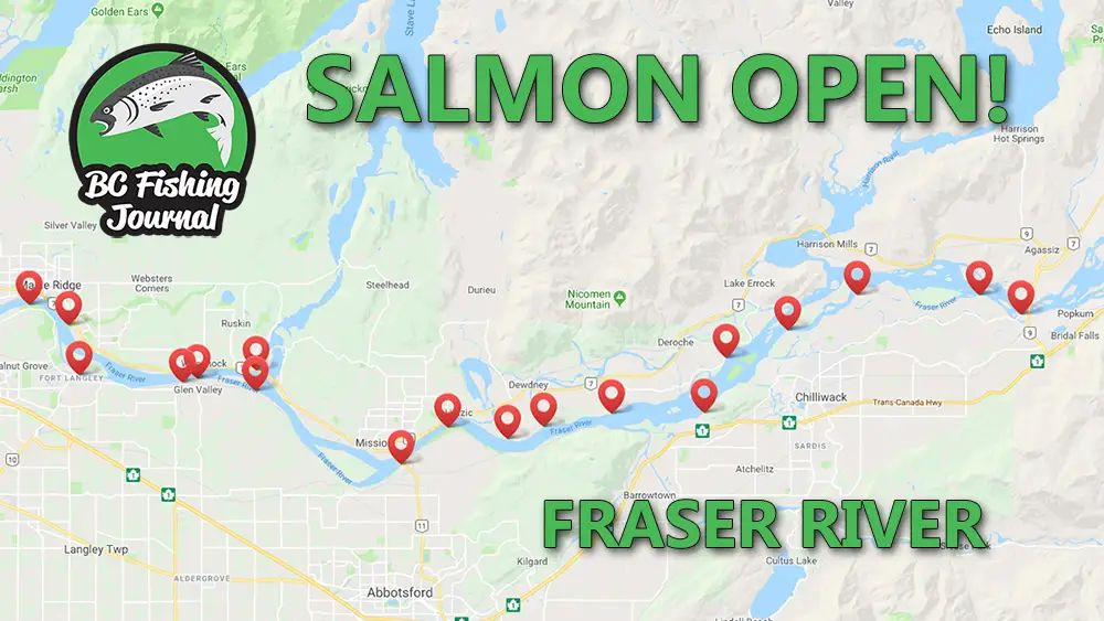 BC Salmon Openings on the Fraser River BC Fishing Journal