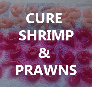 Easy Shrimp Cure for Steelhead and Salmon