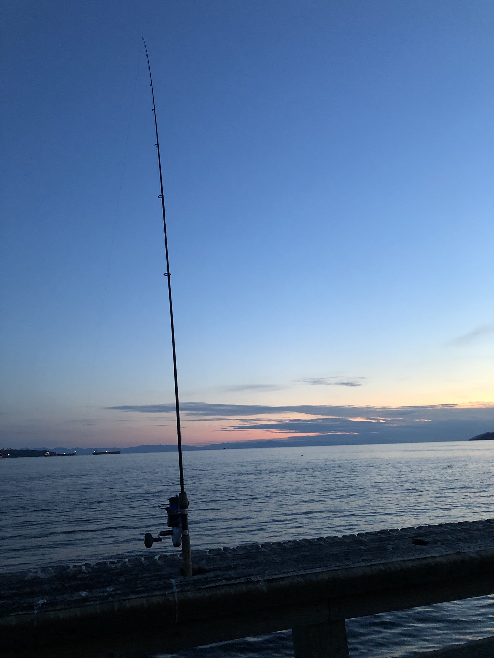 Pier Fishing for Dogfish Sharks - BC Fishing Journal