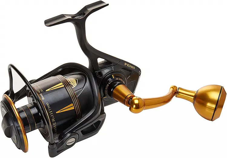 5 Best Saltwater Spinning Reels for the Money - BC Fishing Journal