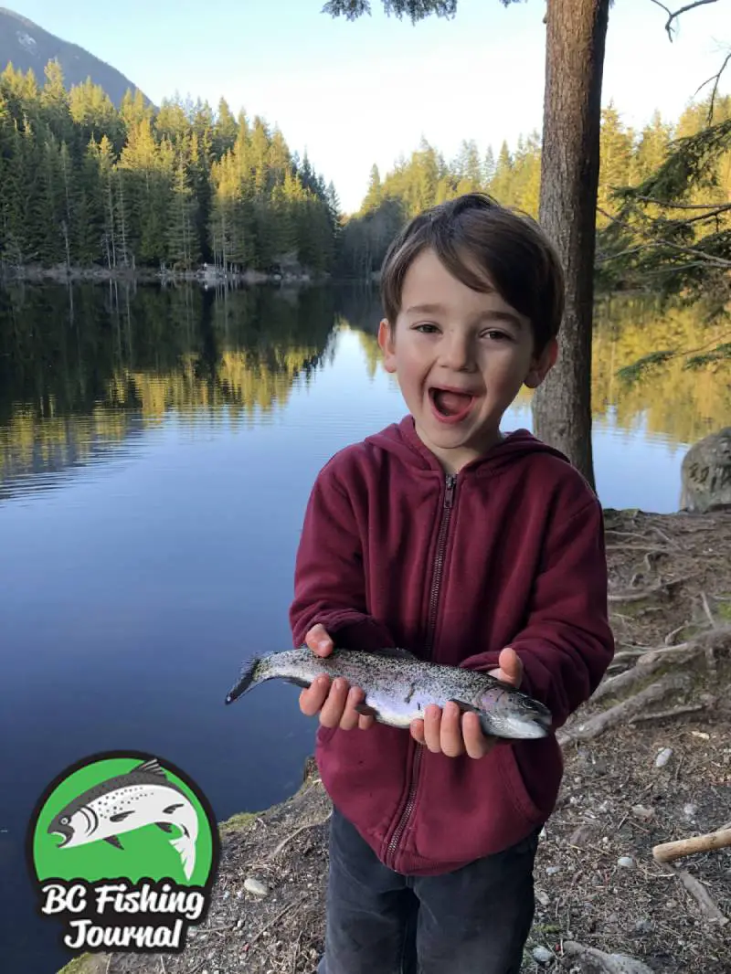 Spring Lake Fishing for Rainbow Trout and Testing the Rod Sprocket - BC  Fishing Journal