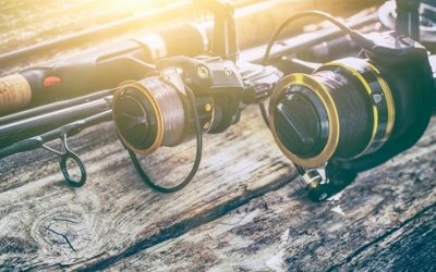 5 Best Ultralight Spinning Reels for the money - BC Fishing Journal