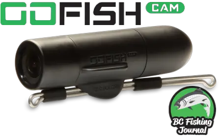 GoFish Cam Review Featured