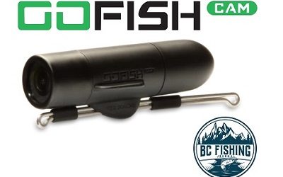 GoFish Cam Review : Best Underwater Fishing Camera