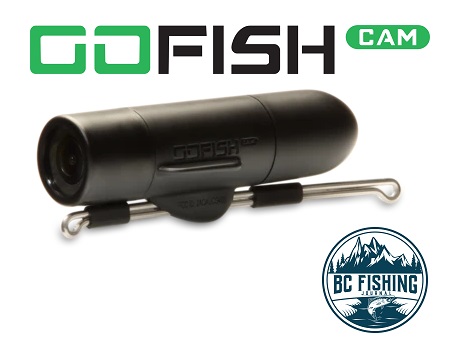 GoFish Cam Review : Best Underwater Fishing Camera - BC Fishing Journal