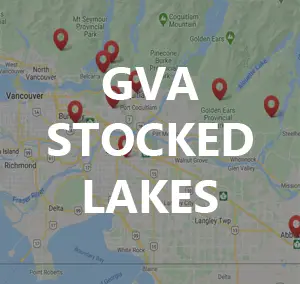 GVA Stocked Lakes for local Trout Fishing