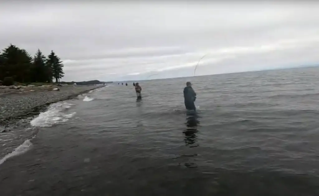 Cluxewe Resort beach fishing