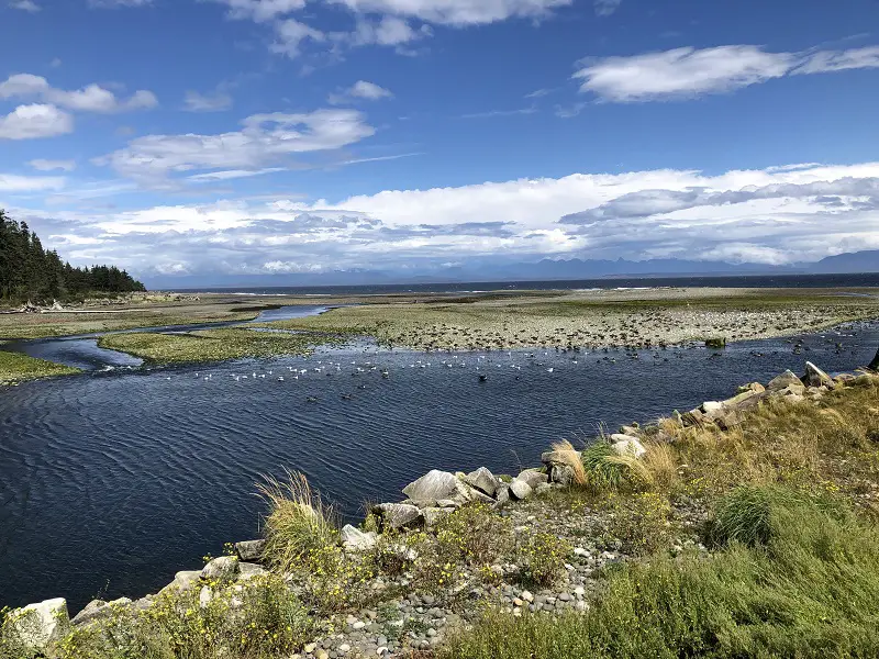 Oyster River Estuary