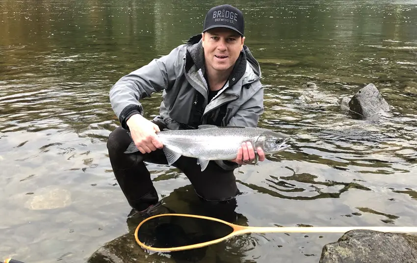 Stave River Coho Salmon