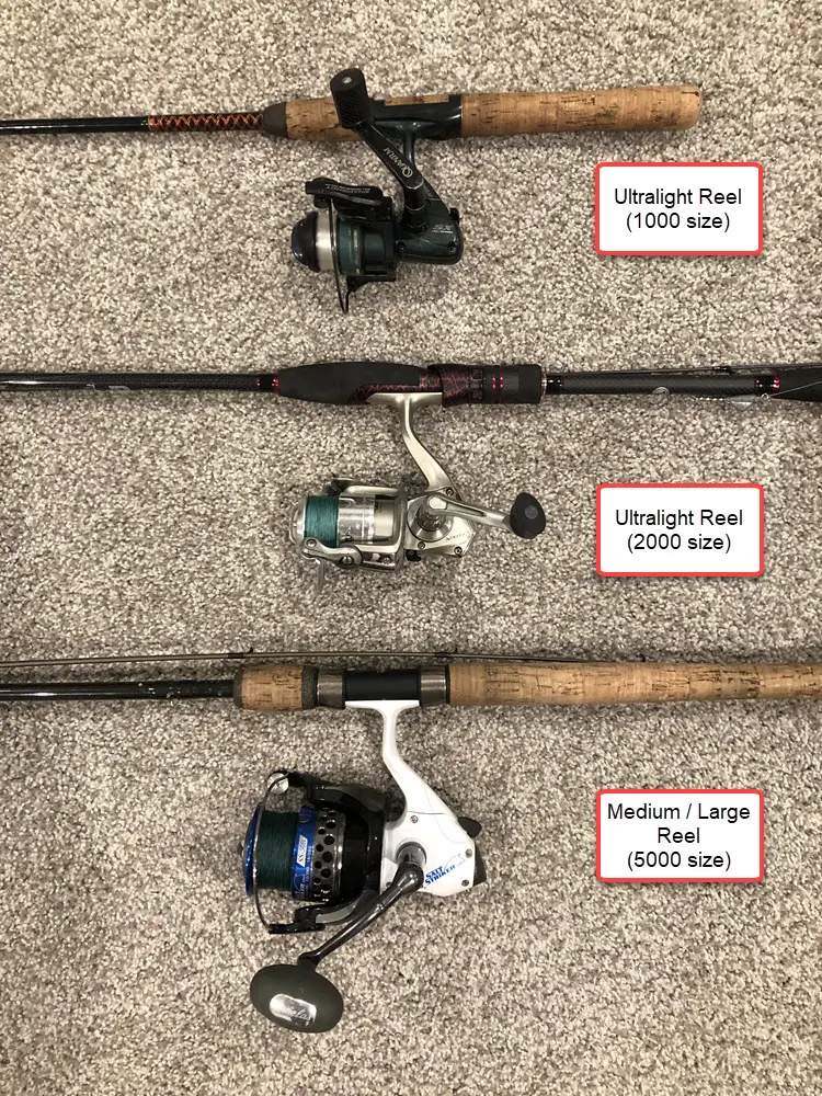 Reel model sizes