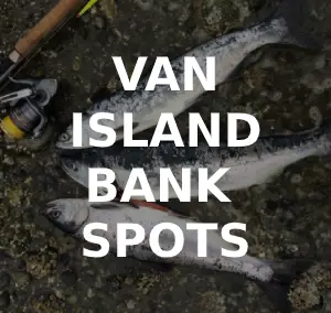 https://www.bcfishingjournal.com/wp-content/uploads/2020/07/vancouver-island-beach-fishing-locations-featured-2-300x284.png