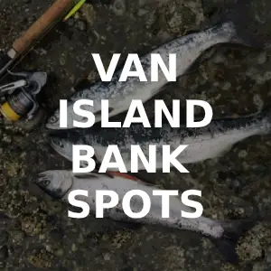 Different Types of Fishing Lines - Van Isle Marina