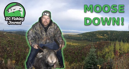 British Columbia Moose Hunting